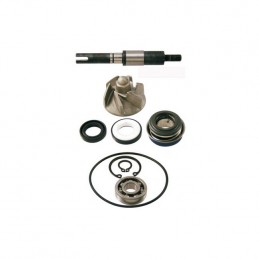 ▶️ Kit Reparacion Bomba Agua Honda Sh Scoopy 125/150